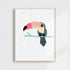 Little Toucan Art Print